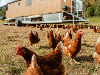 Bild 3 aus  Rasdorferhof