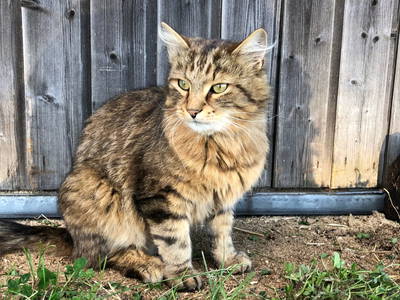 Bild 30 aus  Hacklhof