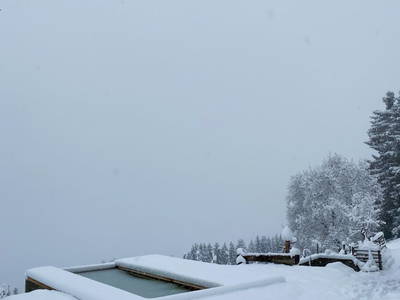 Bild 16 aus  Die Saualmleitn