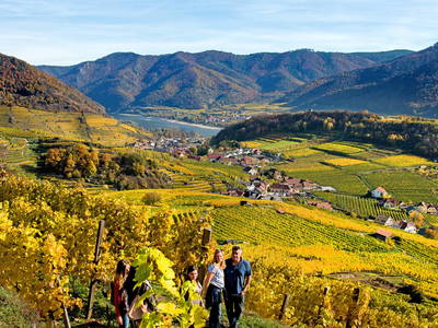 Bild 110 aus  Weingut STRAWANZER Donabaum