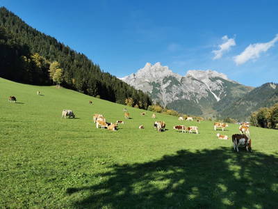 Bild 30 aus  Mayrhof