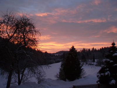 Bild 36 aus  Höllmühle