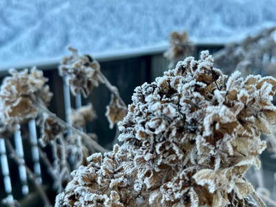 Bild 33 aus  Ferienhaus Oberpremgut