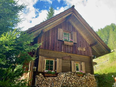 Bild 11 aus  Königsreiner  Hütte