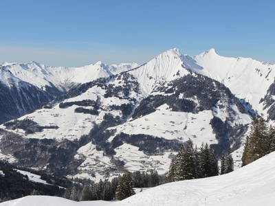 Bild 25 aus  Panoramahof Nigsch