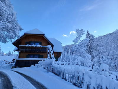 Bild 32 aus  Kandolf