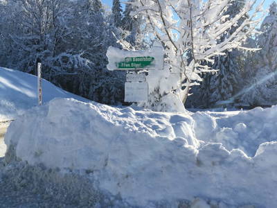 Bild 35 aus  Bauernhof Bilgeri