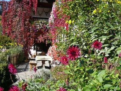 Bild 13 aus  Der Adlerhof