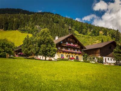 Bild 33 aus Prechtlhof in Flachau