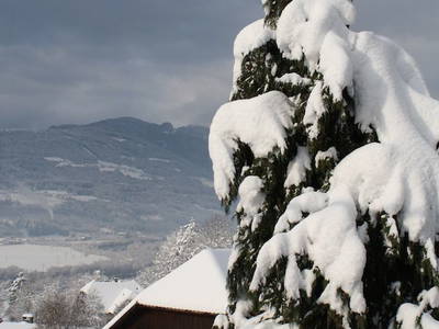 Bild 84 aus  Hoferhof