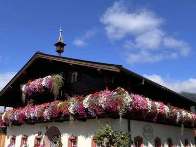 Bild 172 aus  Baby-/Kinderbauernhof Stefflhof