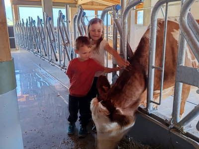 Bild 30 aus  Ferienhaus Kerschbaumerhof