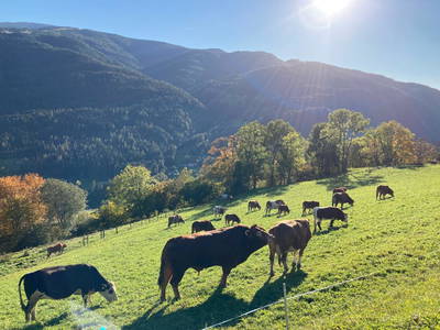 Bild 31 aus  Dorferhütte