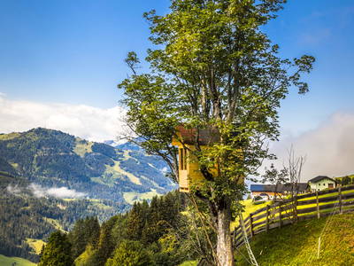 Bild 108 aus  Oberegghof