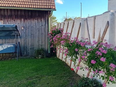 Bild 21 aus  Ferienhaus Anna