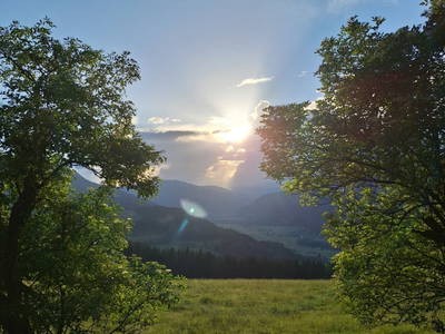 Bild 149 aus Naturpark Bauernhof Sperl