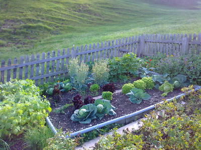 Bild 24 aus  Fergl's Hof