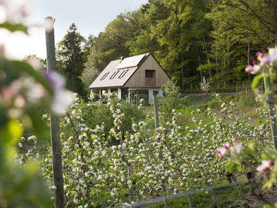 Bild 51 aus Refugium am Wald