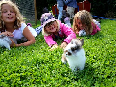 Bild 7 aus Büdl'farm - Der Familien-Erlebnishof