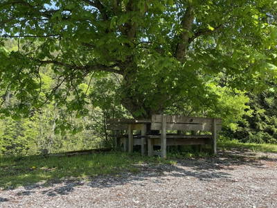 Bild 5 aus  Kühleitalm