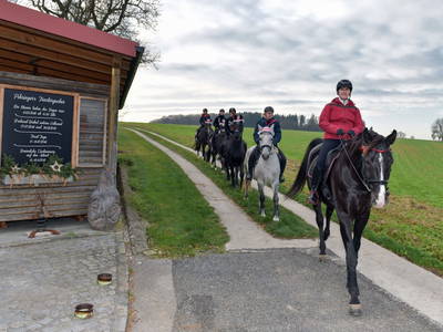 Bild 36 aus  Landhof Pihringer