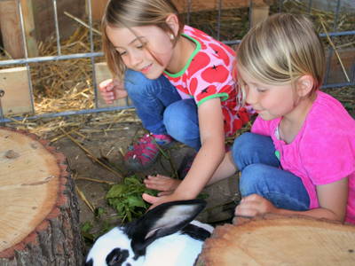 Bild 7 aus  Ferienhof Taunusblick