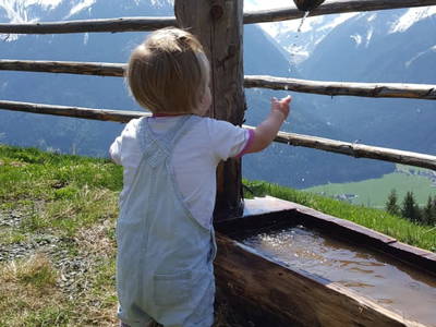 Bild 18 aus  Sonnenhütte