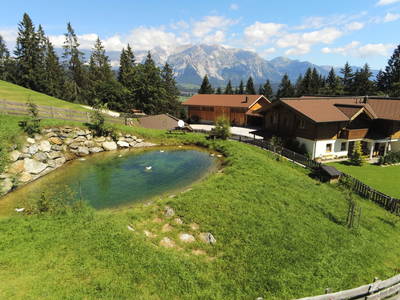 Bild 57 aus  Stegerhof