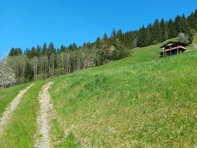 Bild 3 aus  Berghütte Boid