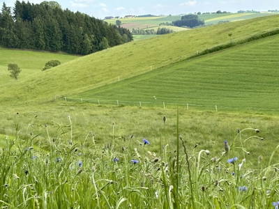 Bild 29 aus Am Ebnerhof