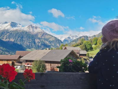 Bild 88 aus  Mortnerhof