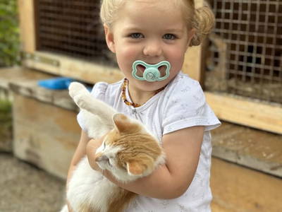 Bild 125 aus  Ederbauer