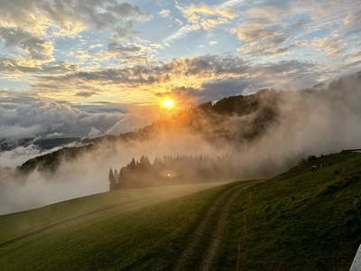 Bild 44 aus Spitalalm