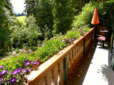 Bild 68 aus  Dichtlhof