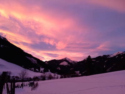 Bild 179 aus  Hoanz´nhof