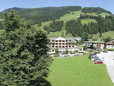 Bild 66 aus  Peilsteingut