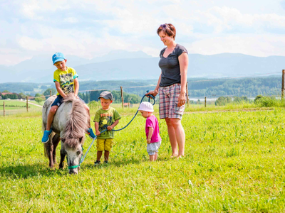 Bild 40 aus  Panoramahof