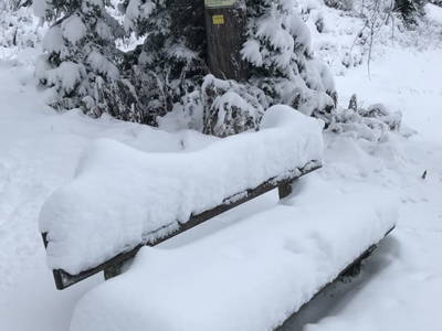 Bild 41 aus  TANAs Almhütte