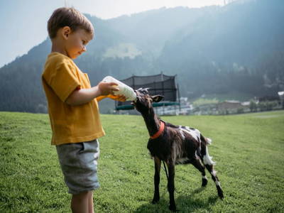 Bild 129 aus  Haarlehenhof