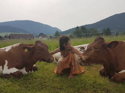 Bild 25 aus  Meissnitzerhof