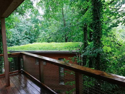 Bild 8 aus  Mainbaumhaus