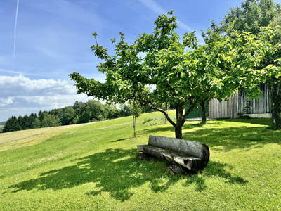Bild 33 aus  Karnerhof