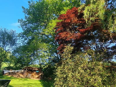 Bild 16 aus  KlangHoff