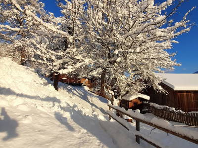 Bild 75 aus  Obermooshof