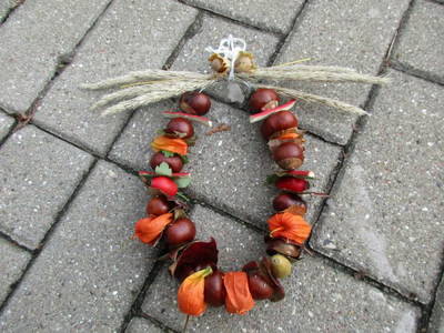 Bild 23 aus  Ferienhof Rauert