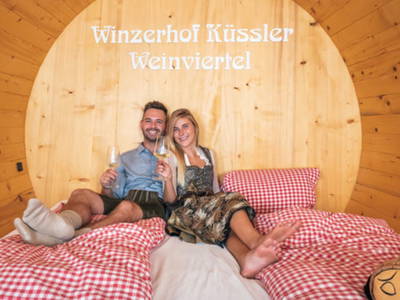 Bild 138 aus  Winzerhof Küssler, Weinviertel