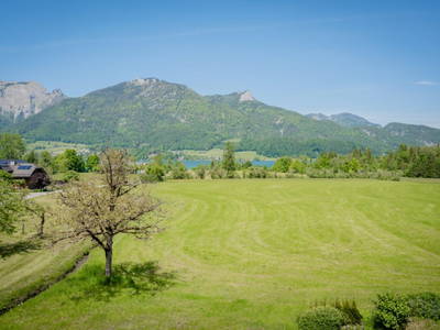 Bild 39 aus  Arnestgut