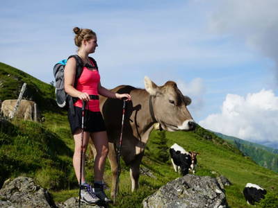 Bild 27 aus  Vorderbichlhof