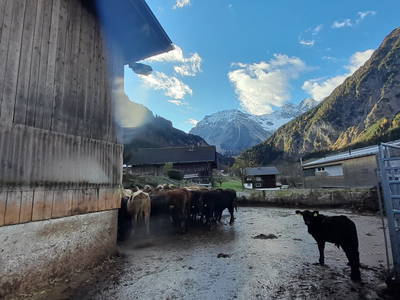 Bild 73 aus  Ferienhof Brügga