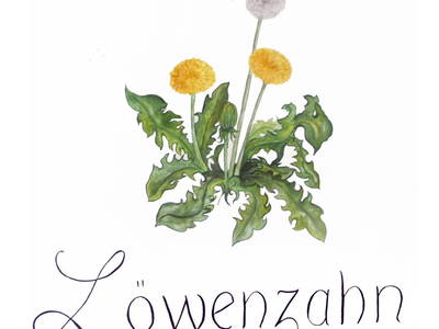 Bild 76 aus  Obermayrgut